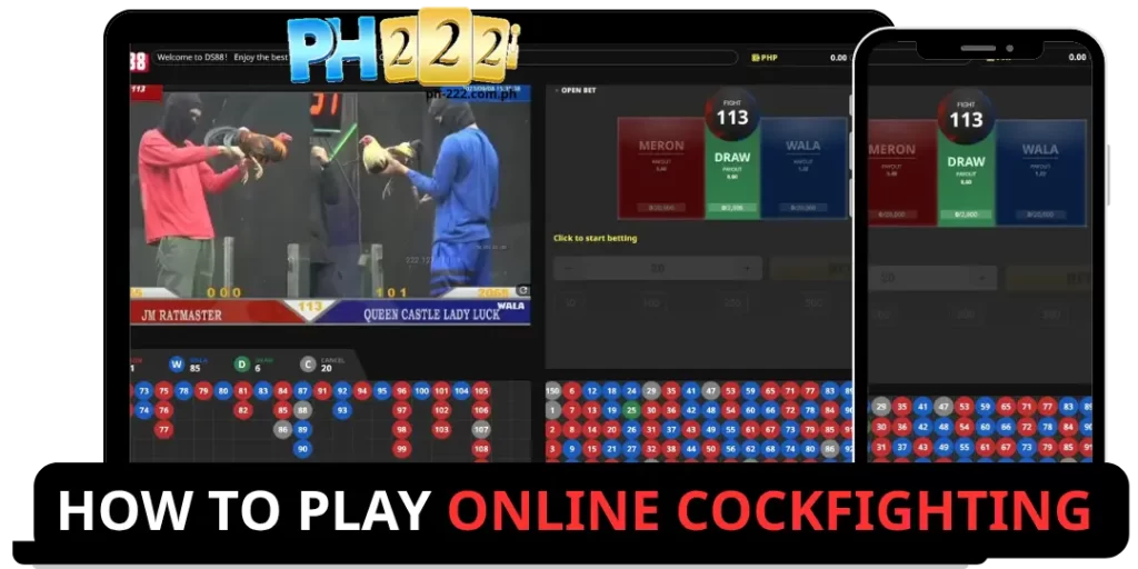 How to Play Online Cockfighting