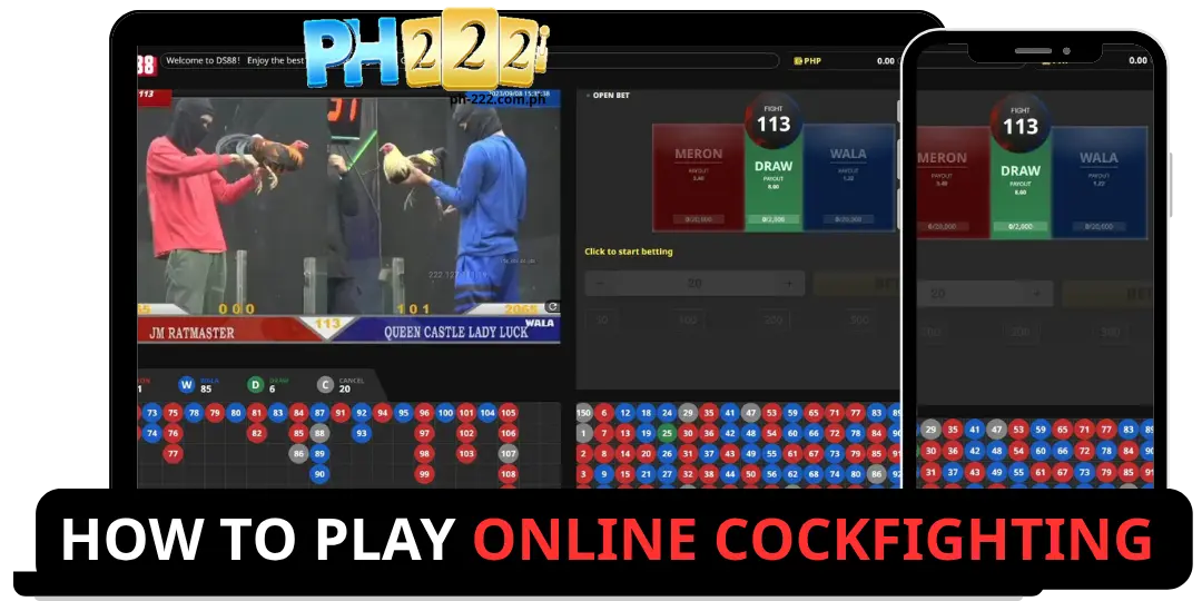 How to Play Online Cockfighting